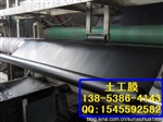 蓄水池防渗土工膜 园林绿化防水材料