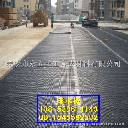 丹东60排水板 屋顶绿化排水板 塑料排水板