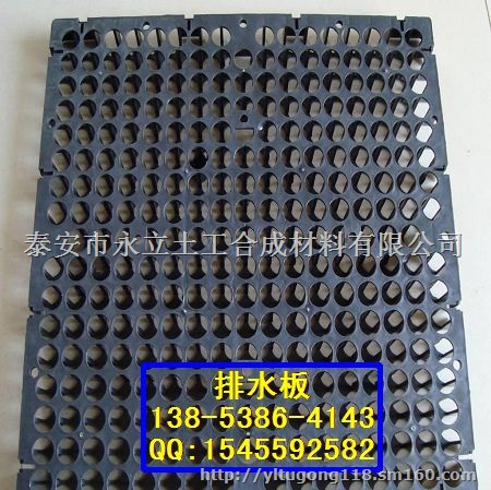 丹东60排水板 屋顶绿化排水板 塑料排水板