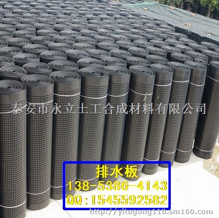 供应广西塑料凸片排水板 排水板厂家