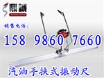 独家好产品供2米汽油振动尺15898607660