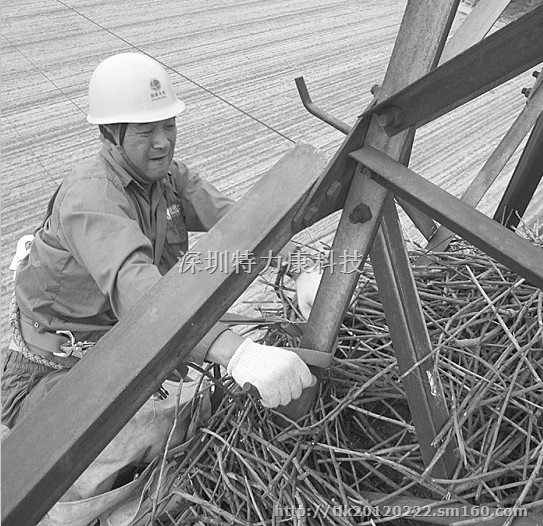 旋转倾倒式防鸟刺厂家低供