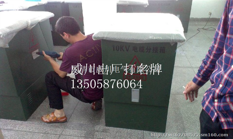 DWF10-12电缆分支箱价格