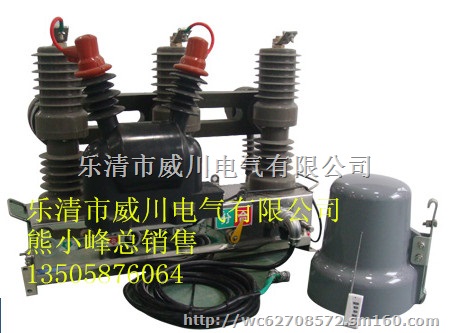ZW32-12F配电子看门狗真空断路器