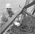 旋转倾倒式防鸟刺厂家直供