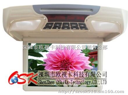 欧视卡12寸汽车吸顶式DVDTV功能