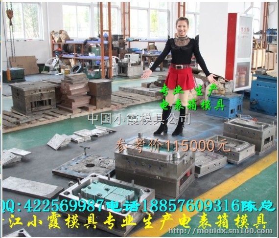生产制造塑料电表箱模具 注塑电表箱模具注射模具工厂
