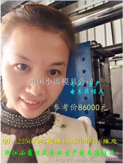 专业制造PC注塑电表箱模具 注射PC电表箱模具一个