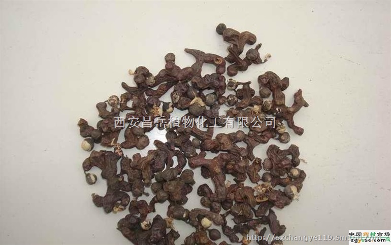 现货供应 解酒护肝优质原料 10:1枳椇子提取物