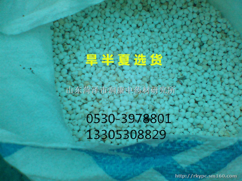 旱半夏（生半夏、姜半夏、法半夏、清半夏）