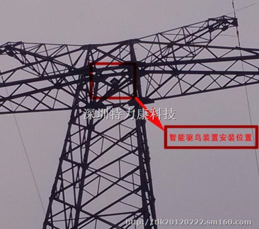 防鸟设备值得拥有