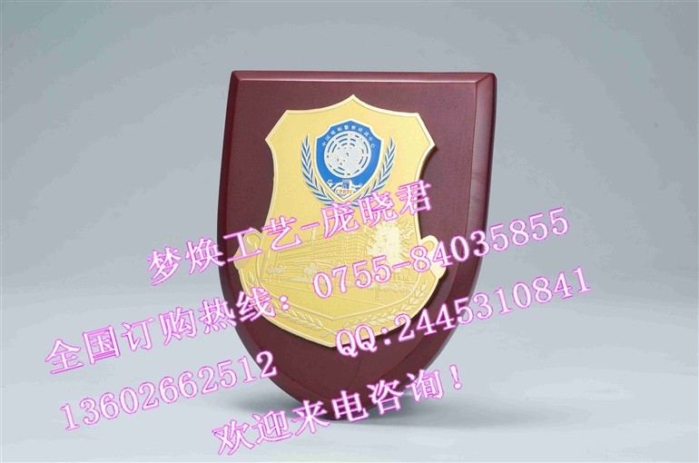 河南武警部队盾牌 军队的盾牌 盾牌订制