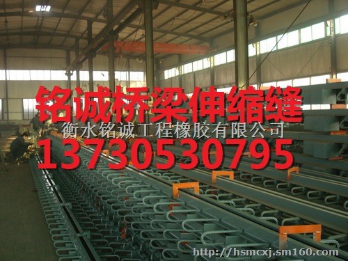 南阳市Mn16桥梁伸缩缝质量可靠 规格齐全