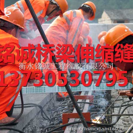 桐柏县桥梁牛角扶手支架制作精良 质量*