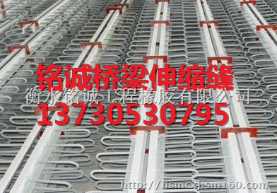 淅川县陕西伸缩缝技术领先 科技含量高