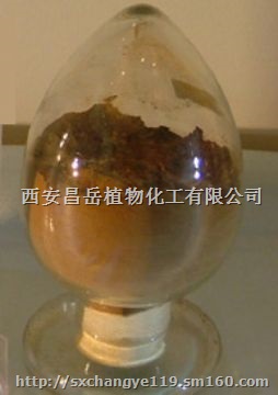 现货供应10:1丁香提取物 温中暖肾 纯天然提取