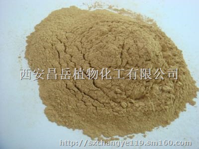 现货供应10:1丁香提取物 温中暖肾 纯天然提取