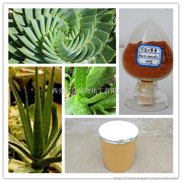 供应20芦荟甙 芦荟提取物 保健品、化妆品原料