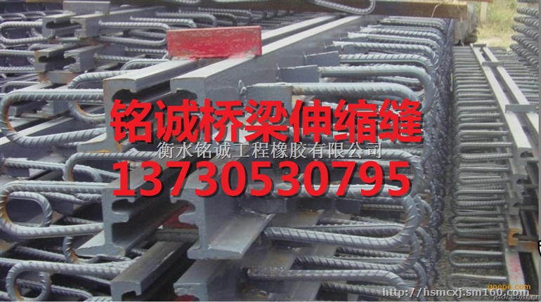 宜昌市毛勒伸缩缝制作精巧 加工精细