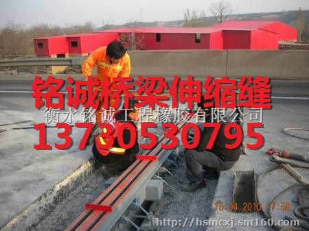 秭归县模数式桥梁伸缩缝优质产品 独一无二