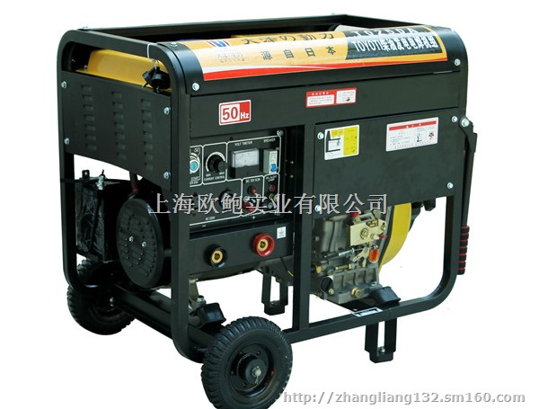 TO250A柴油电焊机说明使用书