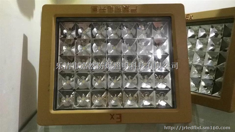ccd97免维护led防爆泛光灯