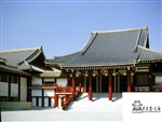 唐瓦（本葺）来自唐朝的经典传承高档自建房/私宅定制