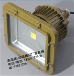 led防爆应急灯70w,加油站led防爆灯70w