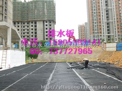 河北排水板厂家/车库地下室排水板供应