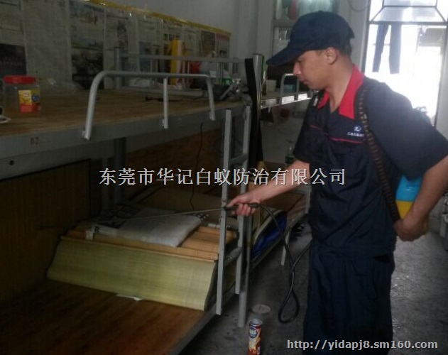 塘厦灭臭虫公司,东莞灭臭虫公司,塘厦工厂宿舍灭臭虫