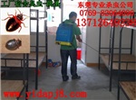 清溪工厂宿舍灭臭虫,清溪杀床板臭虫,东莞灭臭虫公司