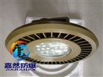 防爆免维护led照明灯200w 250w 280w