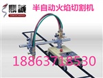 万人追捧超值热销 DCCG1-100火焰切割机