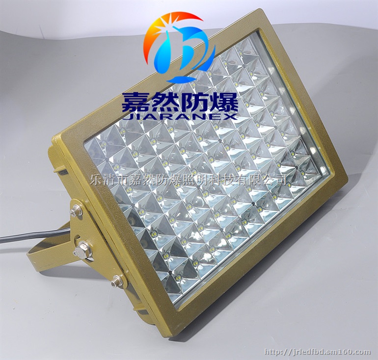 LED防爆投光灯100w,化工厂led防爆泛光灯1