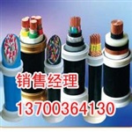 高铁市话电缆，厂家销售高铁HYA23,生产低烟无卤