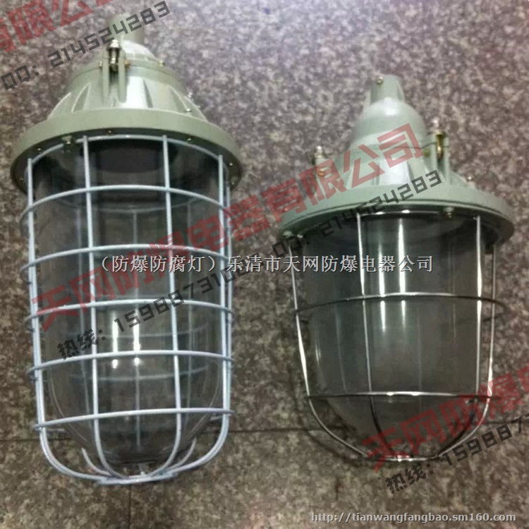 防爆节能灯  防爆灯 BAD53-J85 天网防爆