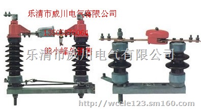 NVW5-12高压真空断路器