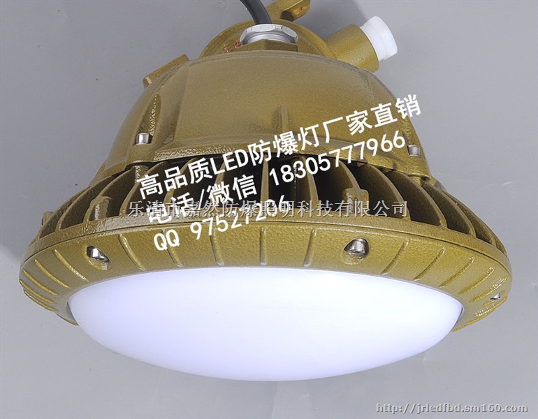 防爆led灯40w,30w防爆led照明灯