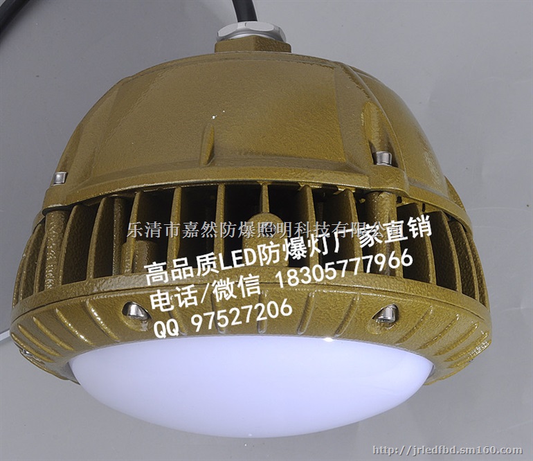 防爆led灯40w,30w防爆led照明灯