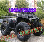 广西百色大公牛沙滩车四轮越野车