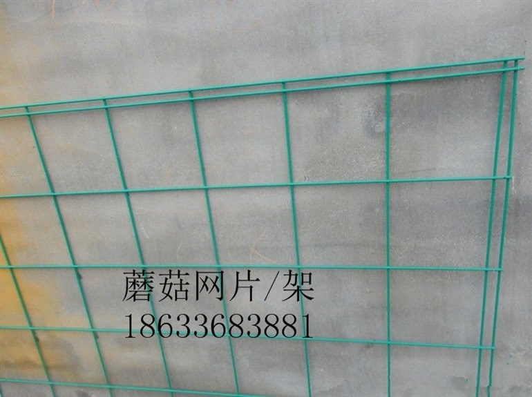 专业生产蘑菇网片 金针菇养殖网 蘑菇网 浸塑网片