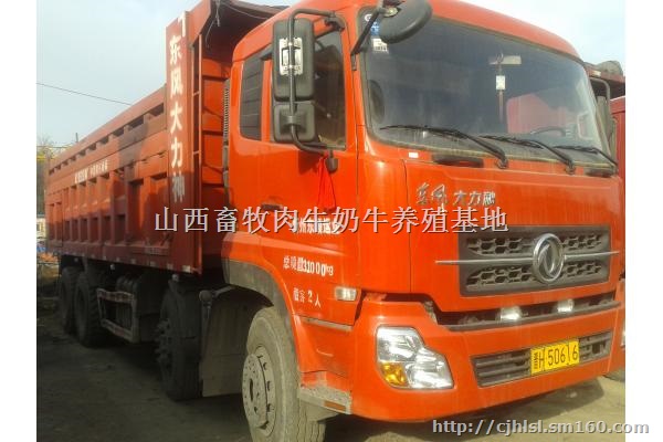 出售东风欧曼 前四后八轻皮自卸车