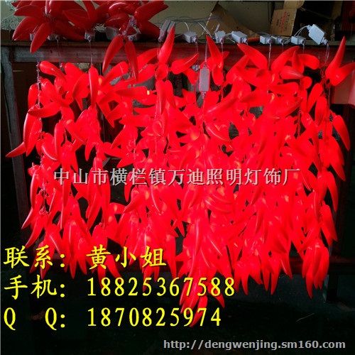 2016春节街道亮化