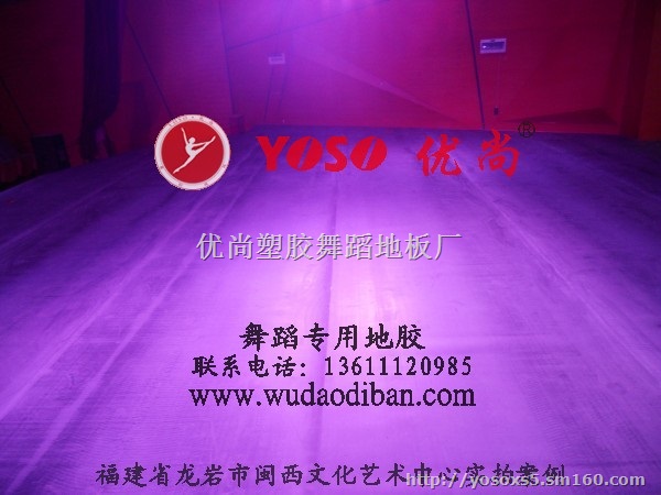 健身俱乐部专用的高弹舞蹈地胶 艺术培训中心地胶板