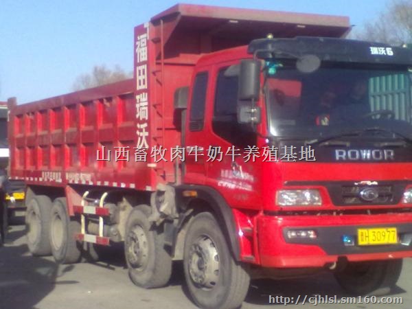 云南二手前四后八 轻皮自卸车