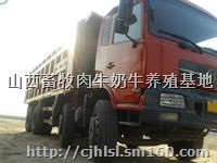 云南二手前四后八 轻皮自卸车