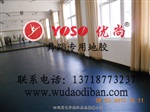 威海	舞蹈工作室地胶	舞蹈练功房地胶颜色