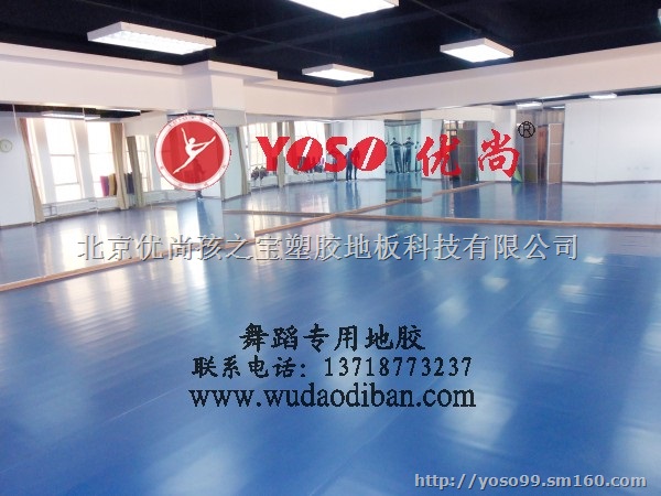 新乡	优质舞蹈地板	舞蹈练功房专用地板