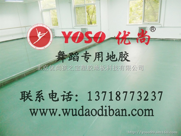 郑州	哪家的舞蹈地板好	舞蹈形体房地胶板