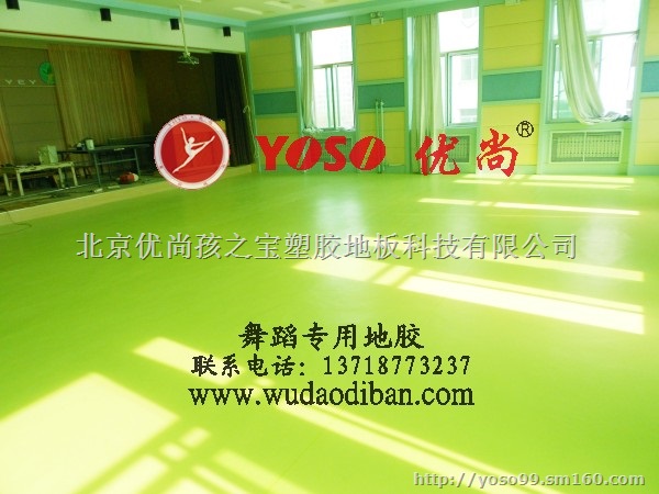 郑州	哪家的舞蹈地板好	舞蹈形体房地胶板